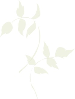 Two Pale Green Branches