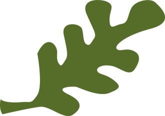 Abstract Green Foliage