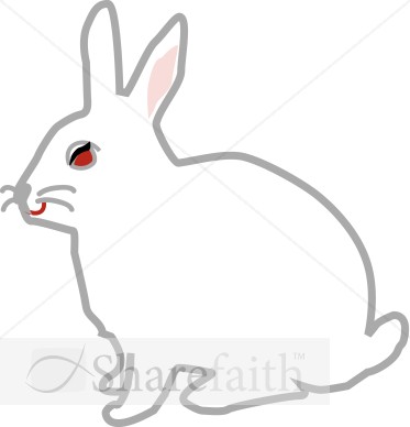 White Bunny with a Red Eye
