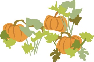 Pumpkin Patch with Foliage