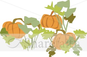 Pumpkin Patch with Foliage