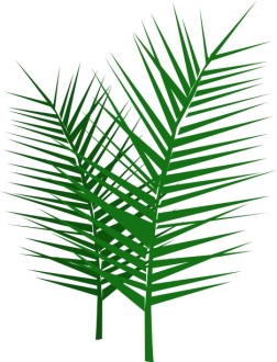 palm branch template