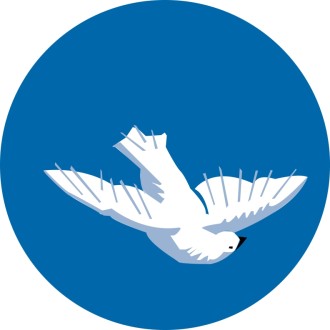 Descending Dove on Blue