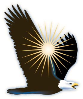 Sun Shines Through Eagle Wings