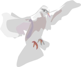 White Dove Landing