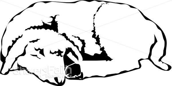 The Sleeping Lamb in Black and White