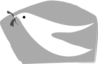 Old Testament Dove