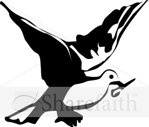 Black and White Dove