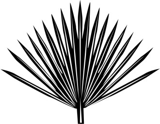 Single radiating Palm Frond