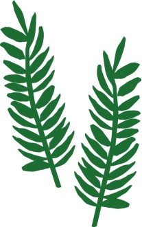 Two Palm Fronds