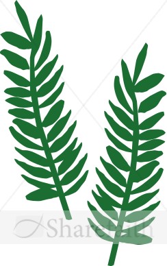 Two Palm Fronds