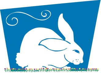 Cute Bunny rabbit