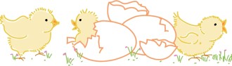 Newborn Chicks