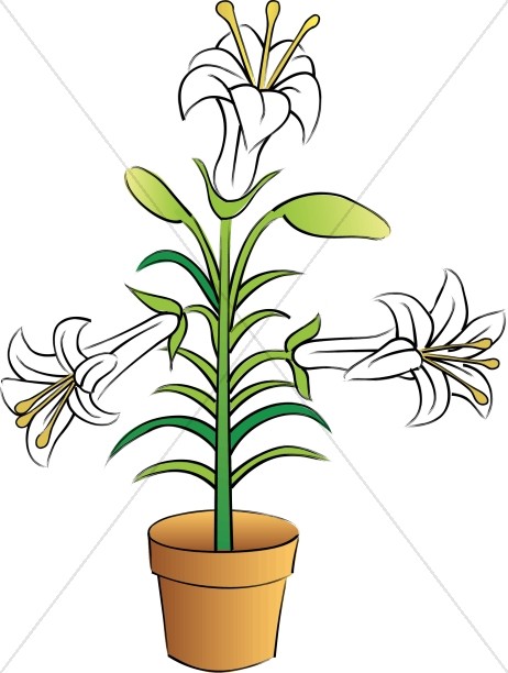 easter lily free clipart - photo #31