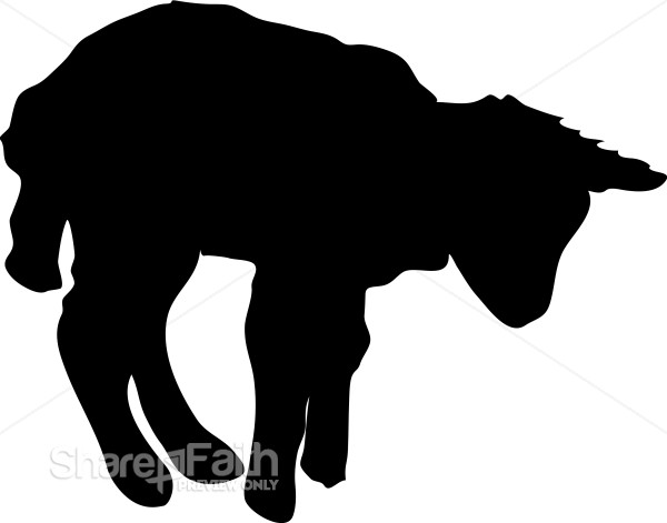 Lamb in Silhouette