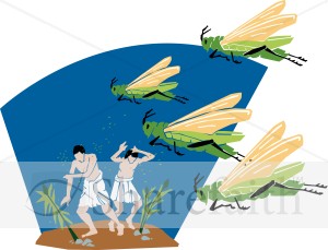 A Plague of Locusts