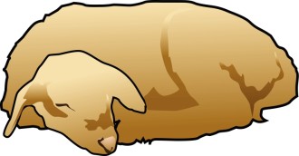 The Sleeping Lamb