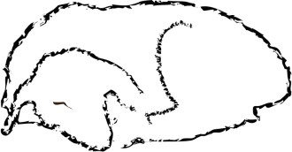 Sleeping Lamb Line Art