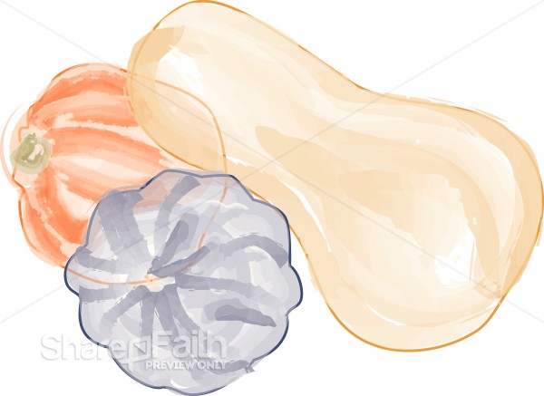 Fall Squash