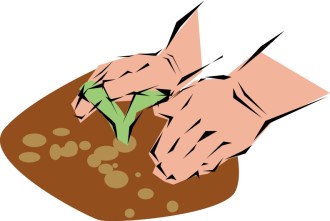 Planting a Seedling