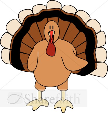 Cute Turkey