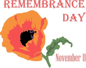 Remembrance Day with Poppy
