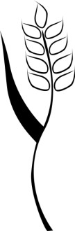 Brushstroke Grain Graphic