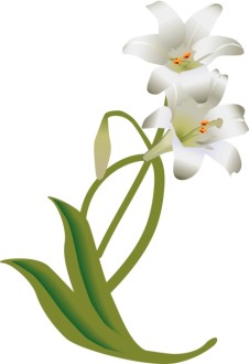 White Easter Lily Decoration