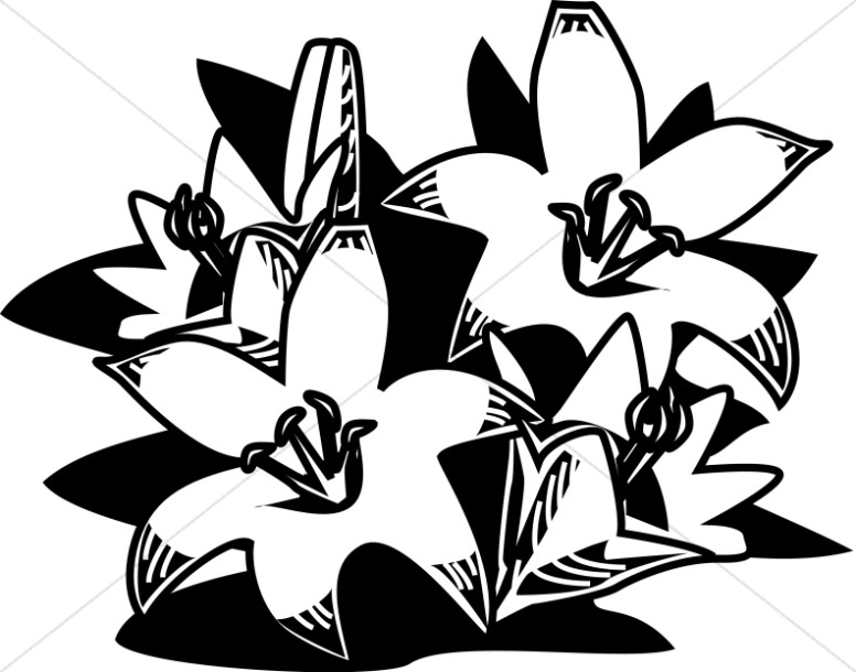 easter lily clipart black and white - photo #14