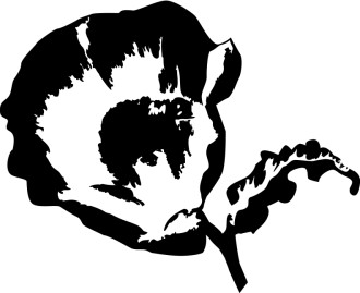 Poppy Ink Sketch