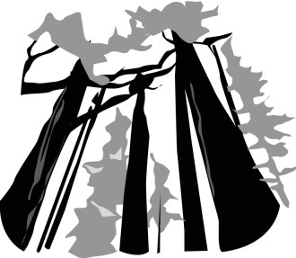 Tall Trees