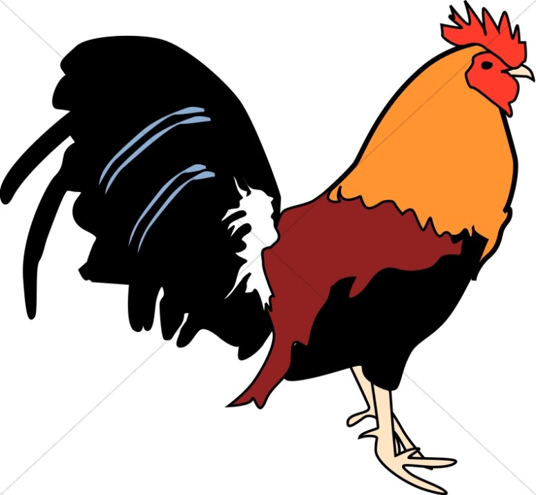 red rooster clipart - photo #36