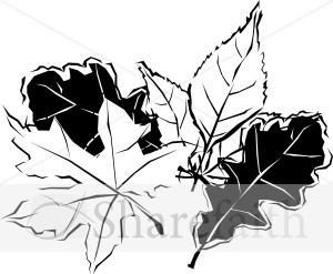 Black and White Autumn Leaves