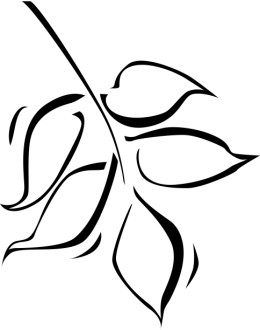 Shaking Leaves