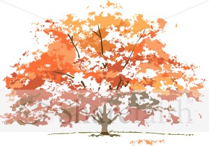 Fall Colors Maple tree