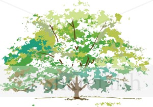 Summer Foliage Maple Tree