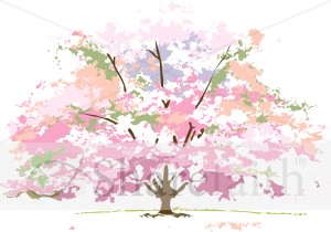 Spring Flowering Tree