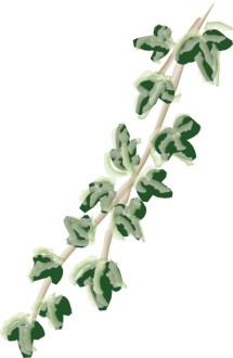 Brushstroked Ivy