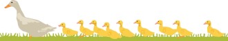 Easter Ducklings