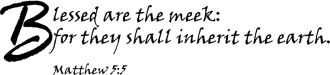 Blessed are the Meek