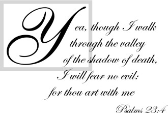 Psalms 23:4 I walk through the Valley