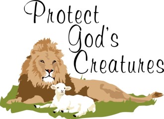 Protect God's Creatures Lion and Lamb