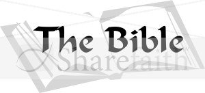 Grey Bible with Title