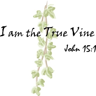 I am the True Vine Scripture 2   John 15:1