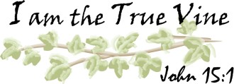 I am the True Vine Scripture   John 15:1