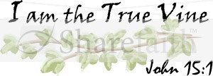 I am the True Vine Scripture   John 15:1