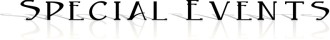 Formal Special Events with reflection