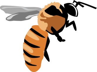 Yellow Jacket Bee