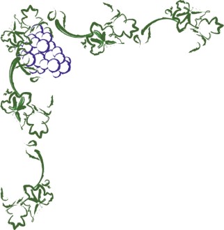 Grapevine in the Corner