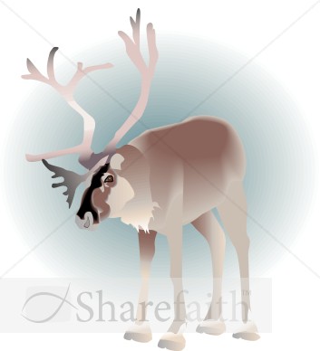 Reindeer Standing